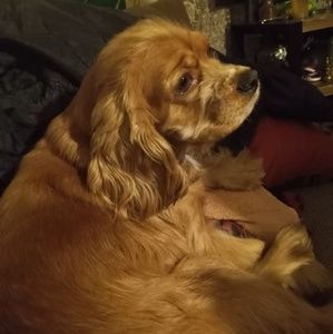 Meet your Posher, Ken